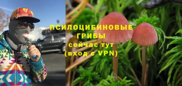 прущая мука Алексин