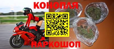 прущие грибы Лесосибирск