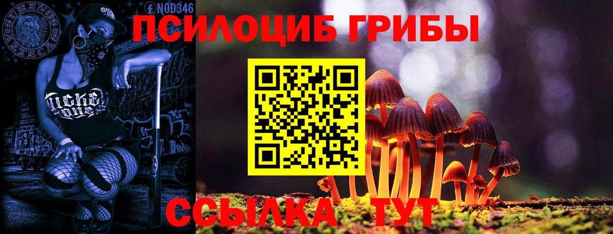 Галлюциногенные грибы Magic Shrooms  Вход с VPN  Дзержинск 