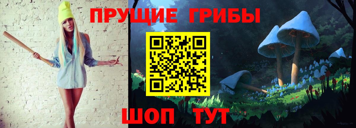 Галлюциногенные грибы Psilocybine cubensis Дзержинск